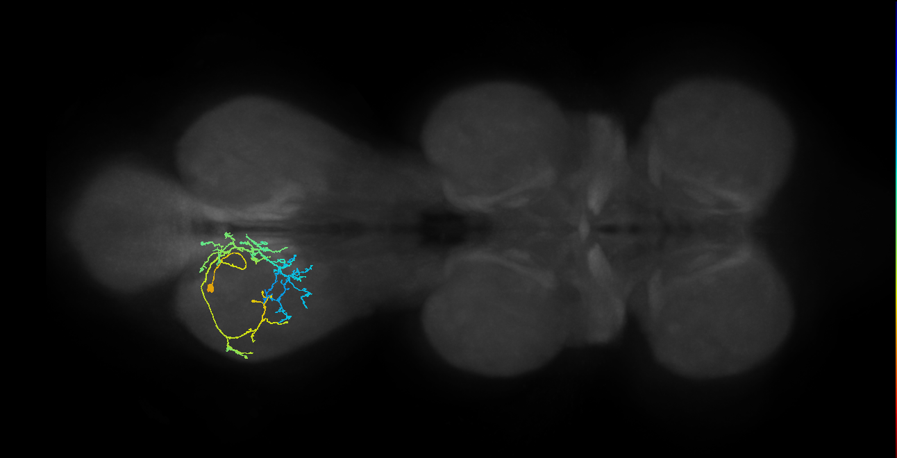 IN03A010_T3_L (MANC:28610)