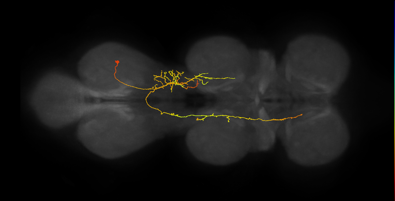 IN07B080_A1_R (MANC:28743)