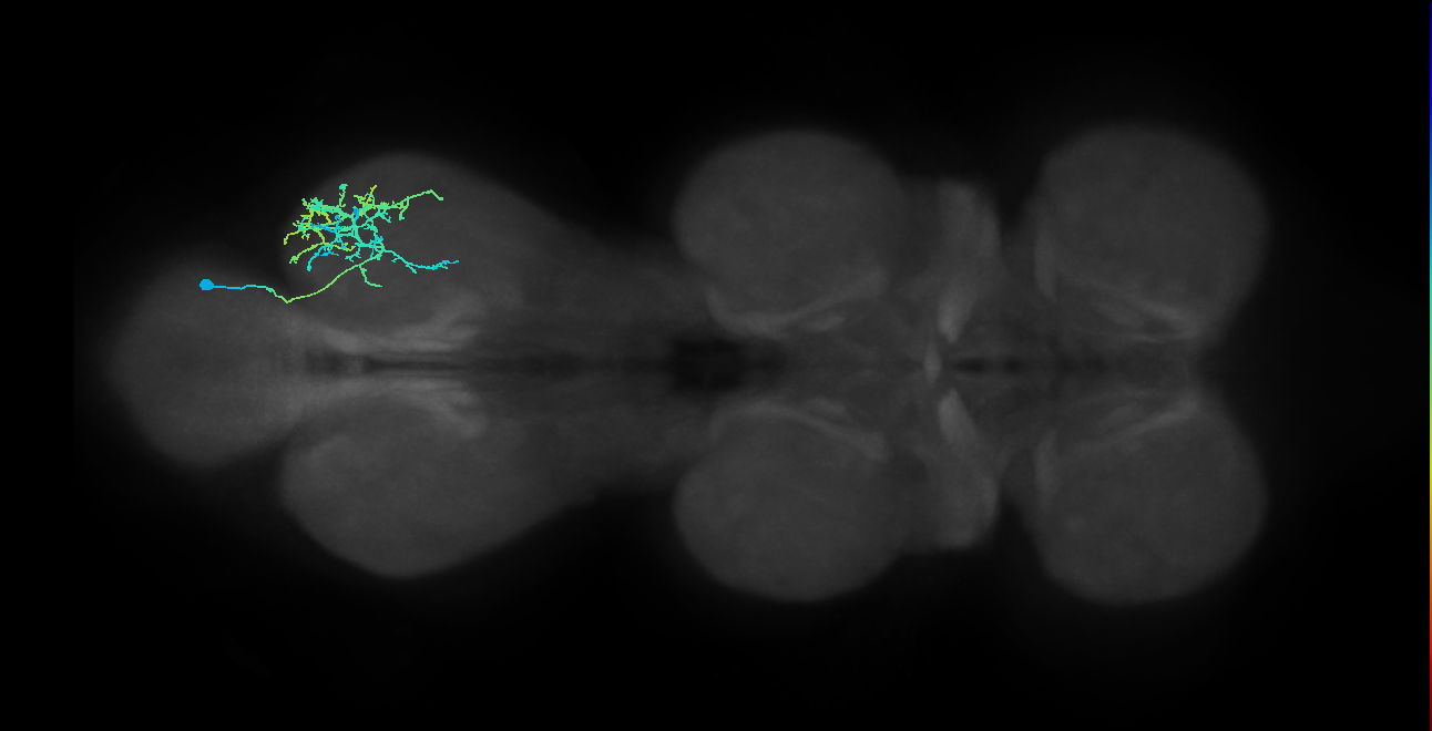 IN20A.22A017_T3_R (MANC:28789)