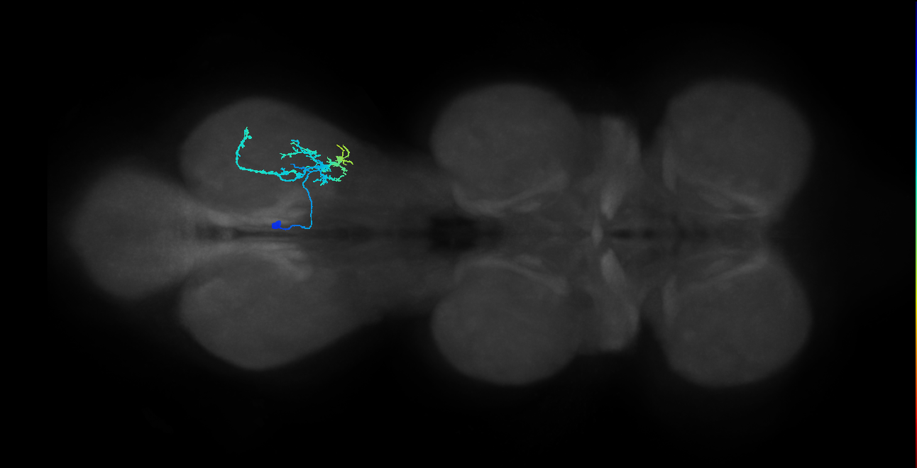 IN14A004_T3_L (MANC:28910)