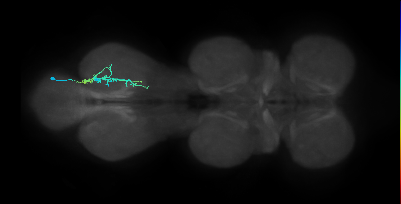 IN20A.22A025_T3_R (MANC:29162)