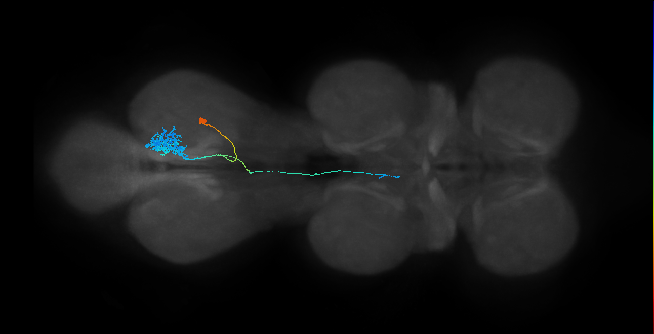 IN23B014_T3_R (MANC:29416)