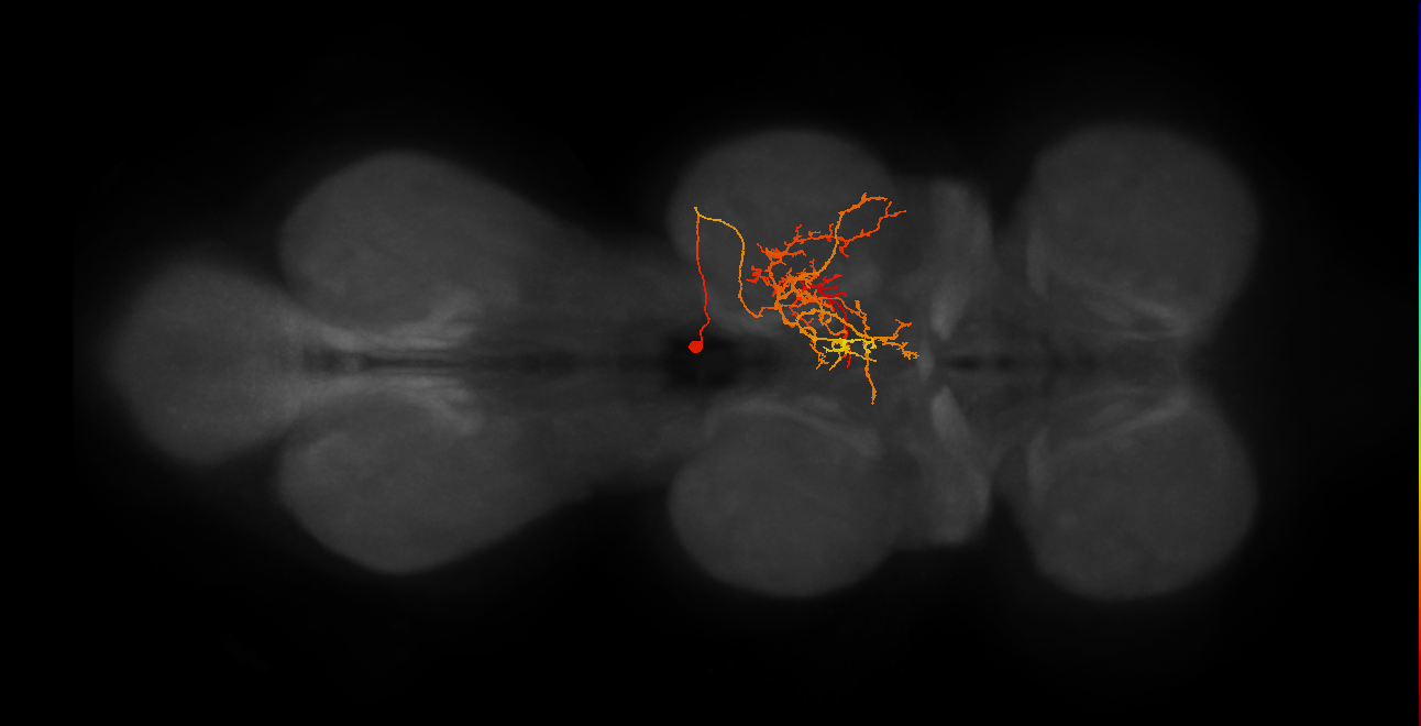 IN11B020_T2_R (MANC:29662)