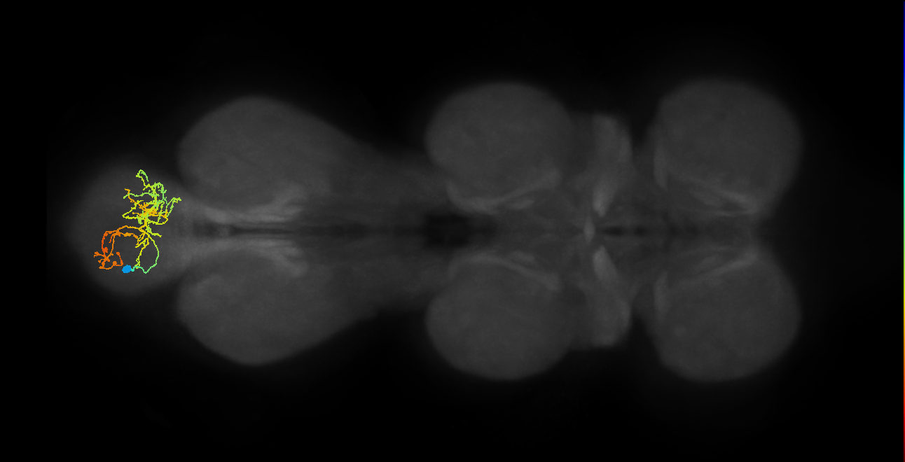 IN02A045_A7_L (MANC:29853)