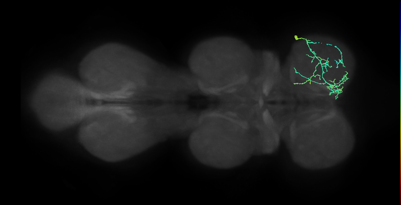 IN20A.22A023_T1_R (MANC:29878)