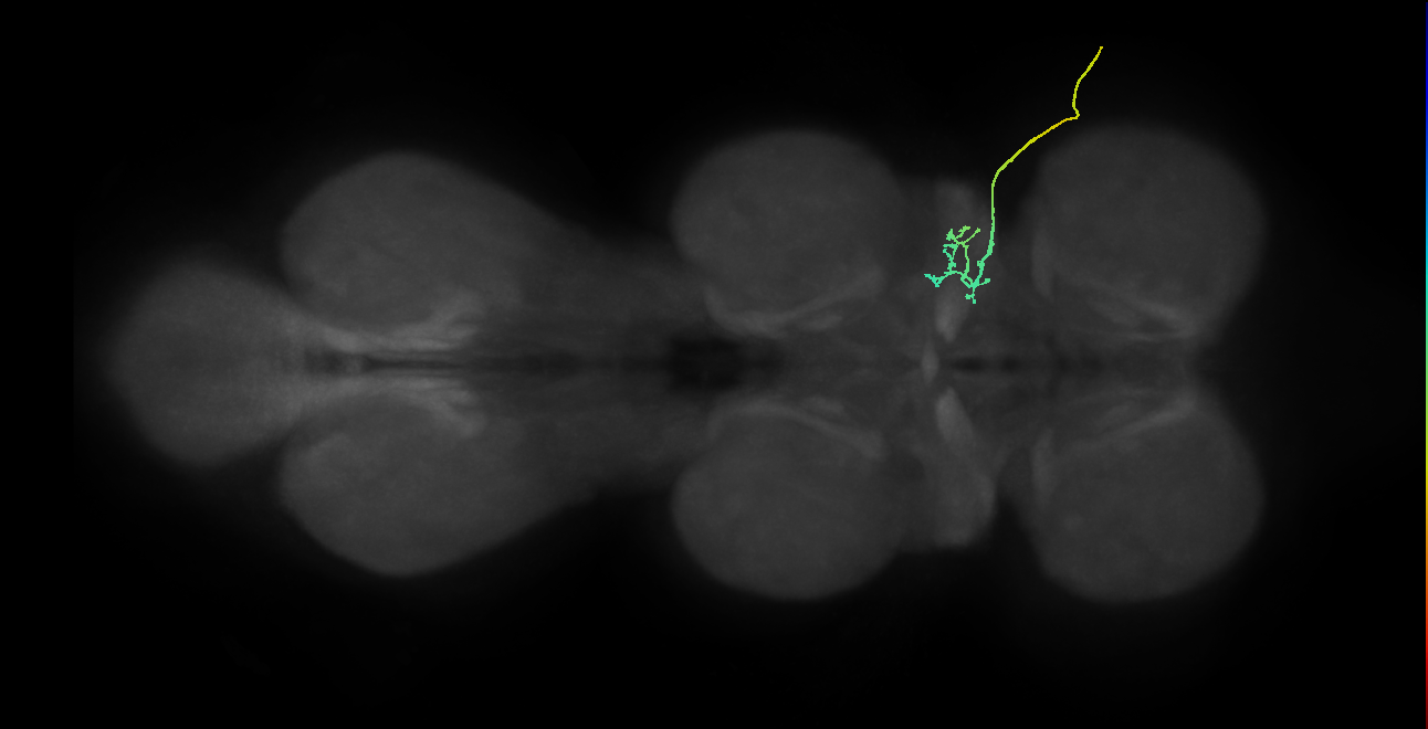 SNta02_ADMN_R (MANC:30040)