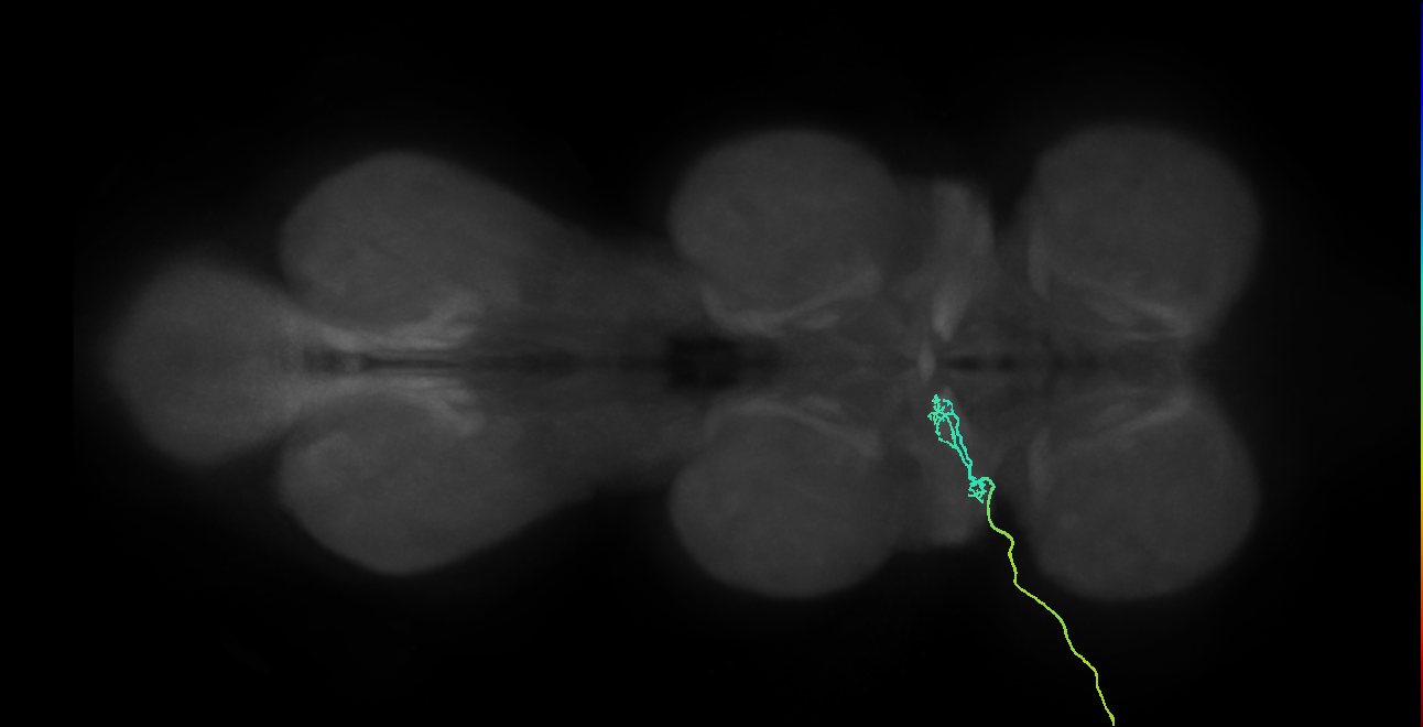 SNch03_ADMN_L (MANC:30265)