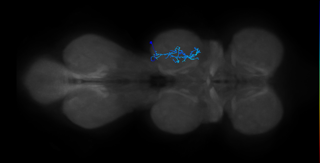 IN20A.22A026_T2_R (MANC:30305)