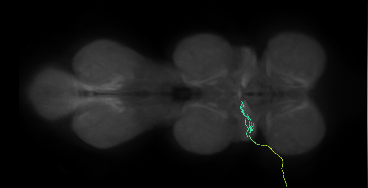 SNch03_ADMN_L (MANC:30388)