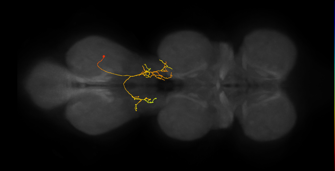 IN07B080_A1_R (MANC:30879)