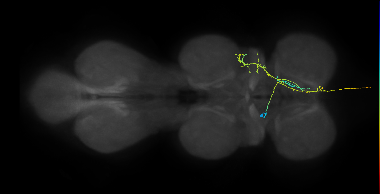 AN12B023_T1_L (MANC:30917)
