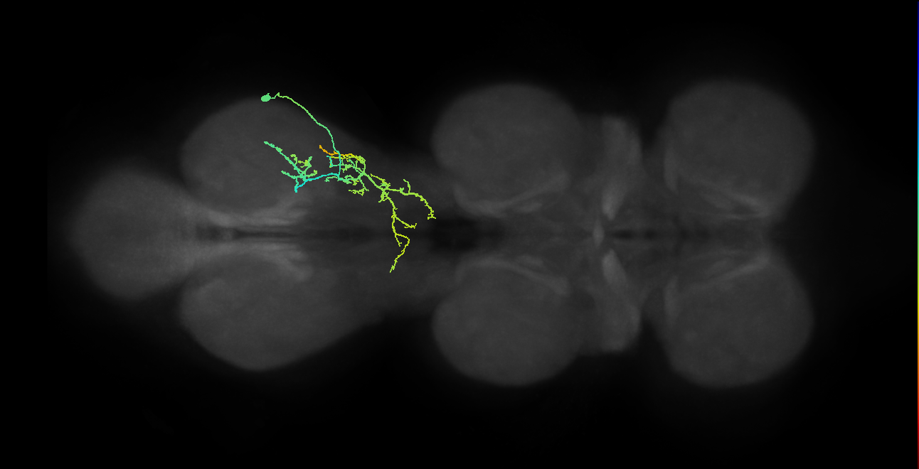 IN09A027_T3_R (MANC:31034)