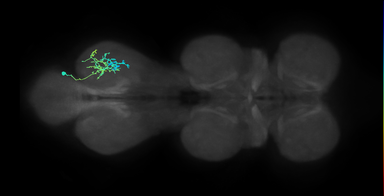 IN20A.22A012_T3_R (MANC:31184)