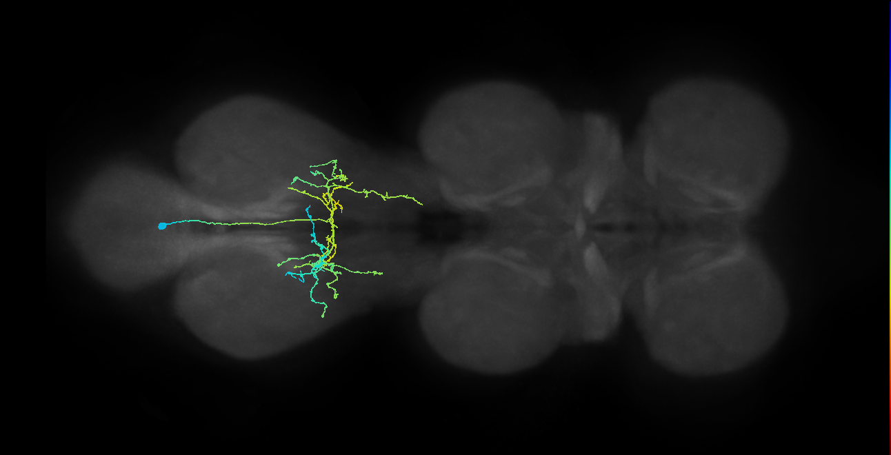 IN12B022_T3_R (MANC:31588)