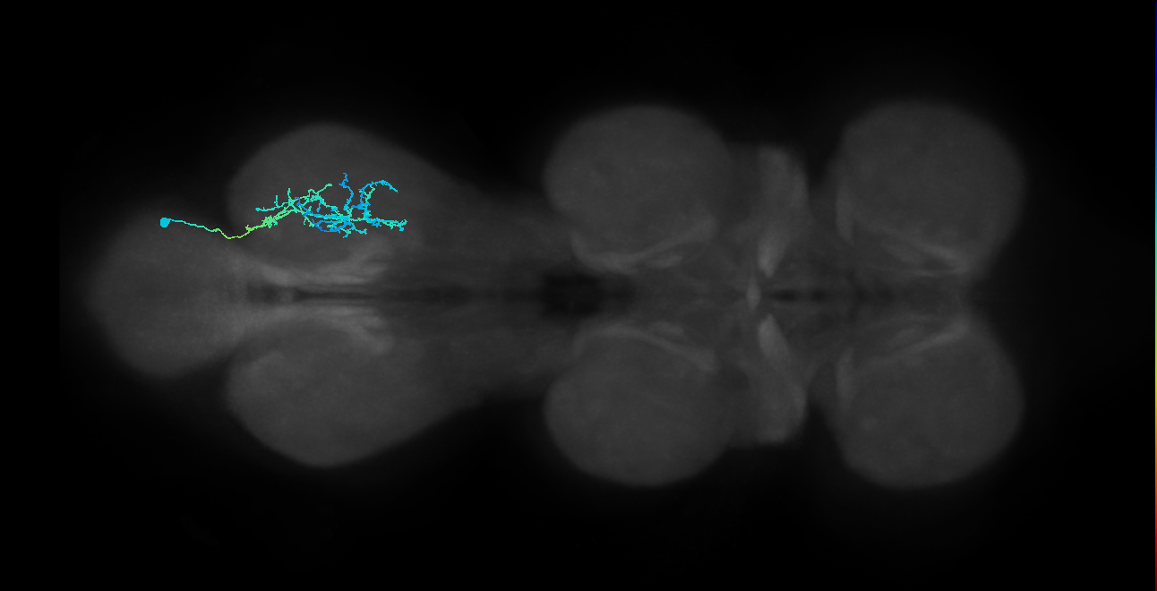 IN20A.22A026_T3_R (MANC:31774)