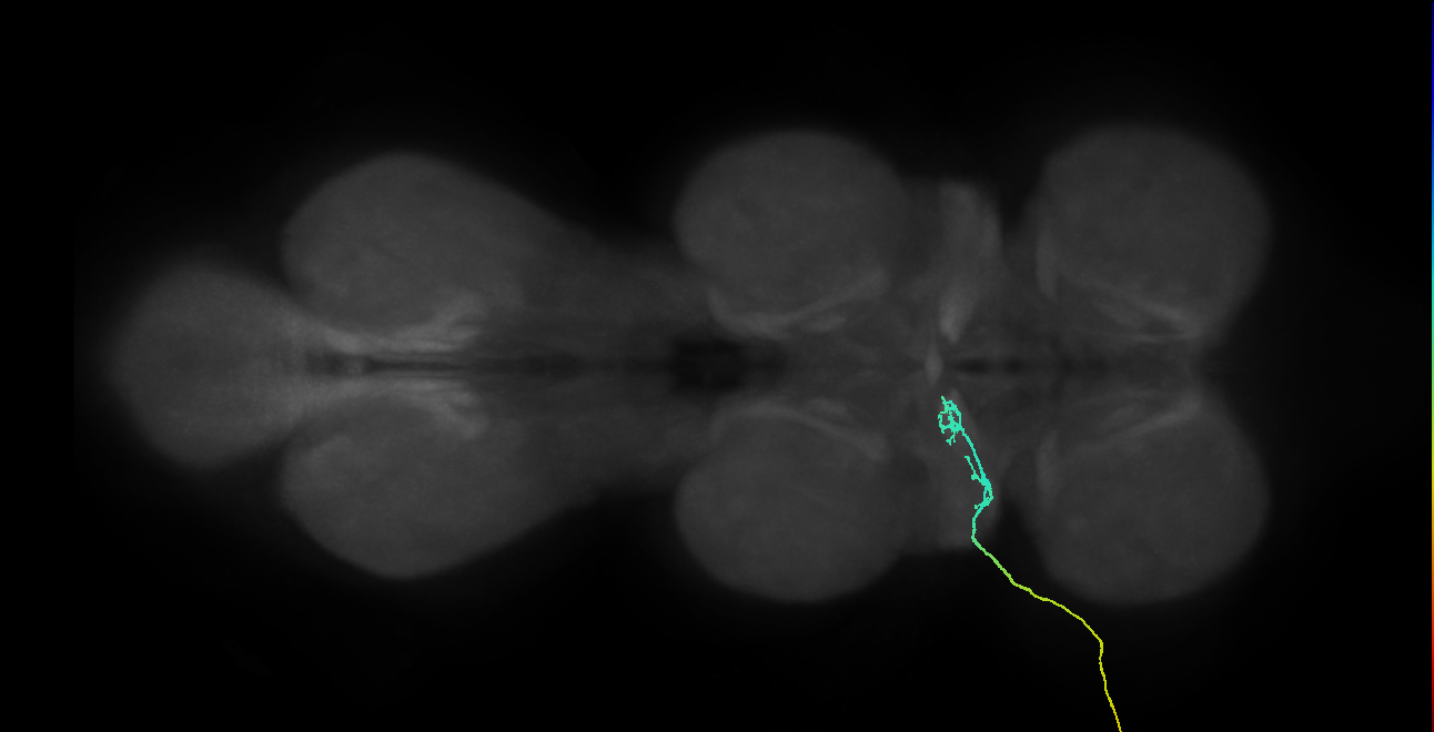 SNch03_ADMN_L (MANC:32318)
