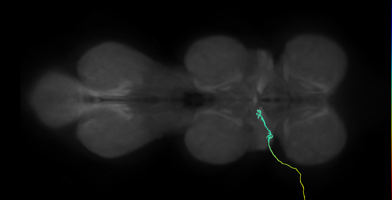 SNch03_ADMN_L (MANC:32740)
