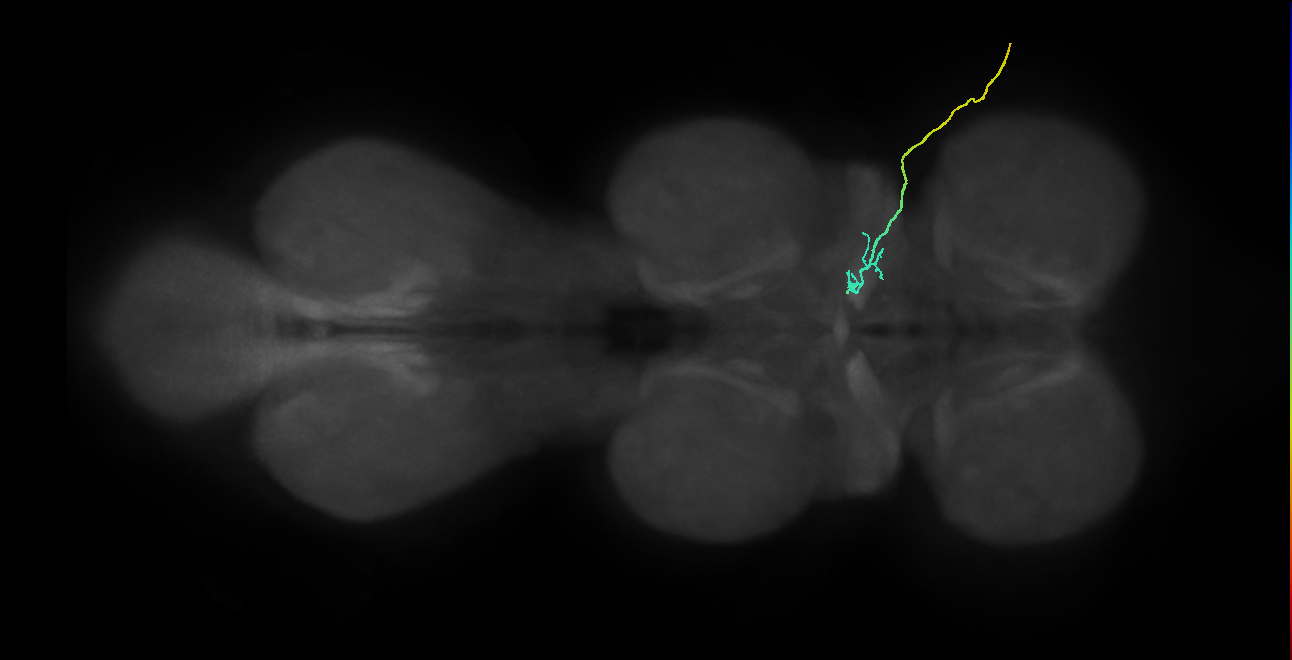 SNch01_ADMN_R (MANC:32761)