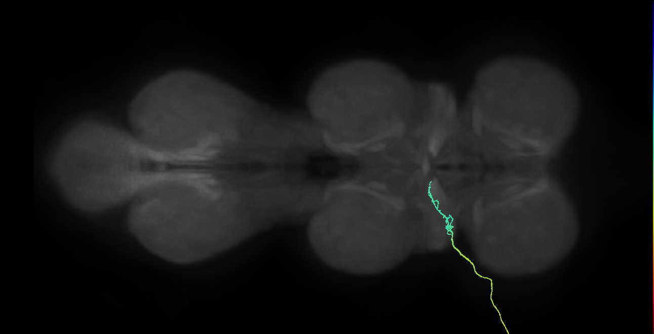 SNch03_ADMN_L (MANC:32827)