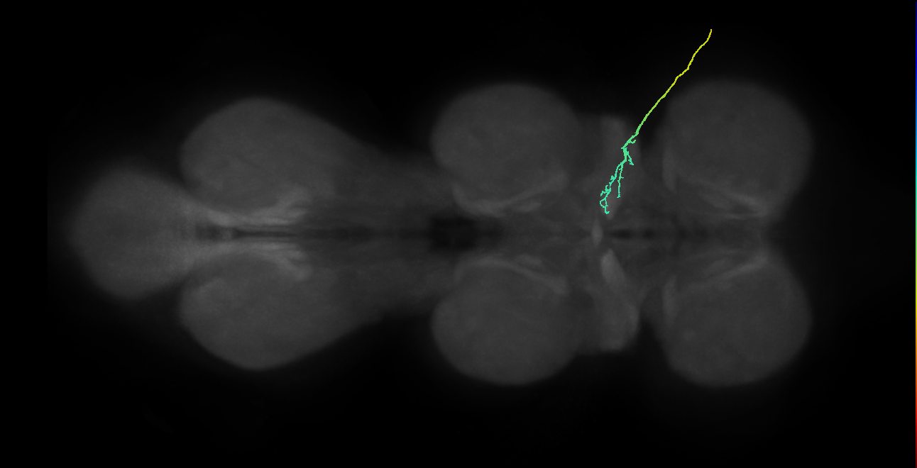 SNch03_ADMN_R (MANC:33169)