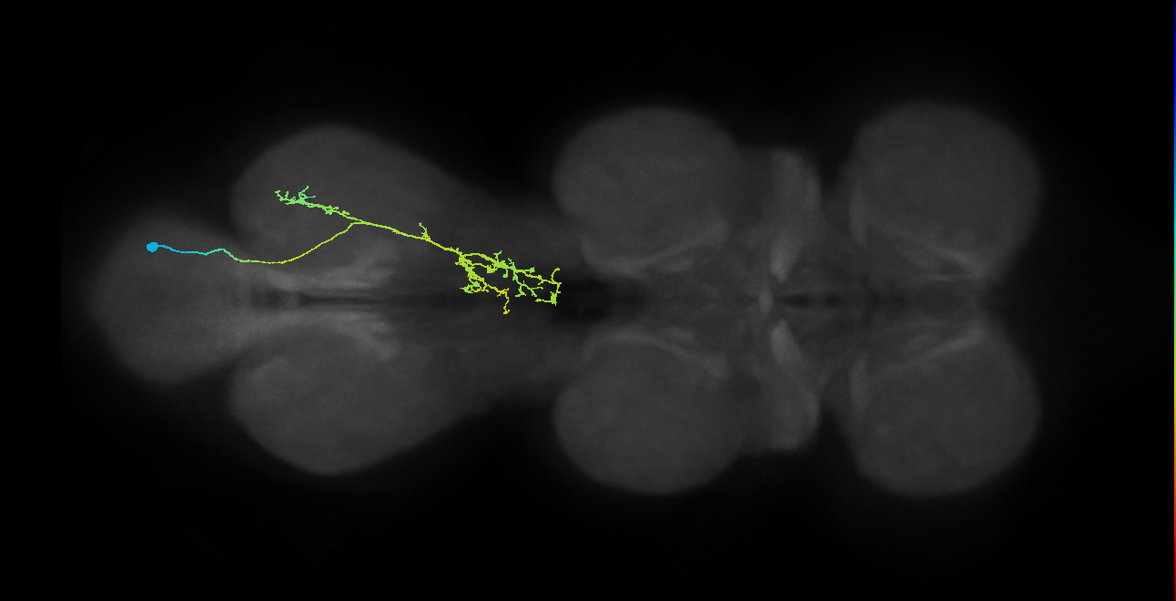 IN21A048_T3_R (MANC:33212)