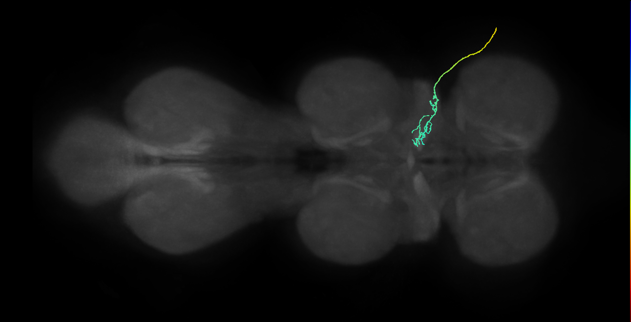 SNch03_ADMN_R (MANC:33293)