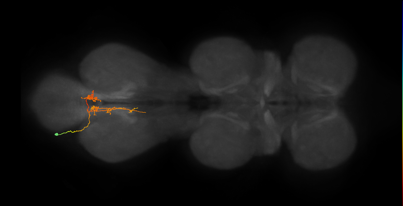 IN06A091_A3_L (MANC:33557)