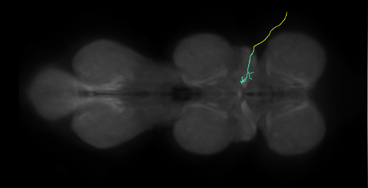 SNch01_ADMN_R (MANC:34105)