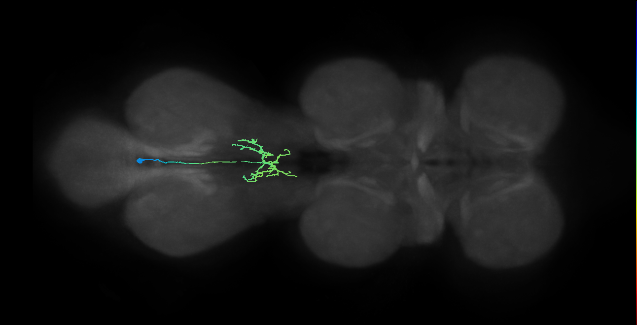 IN00A083_T3_M (MANC:34251)