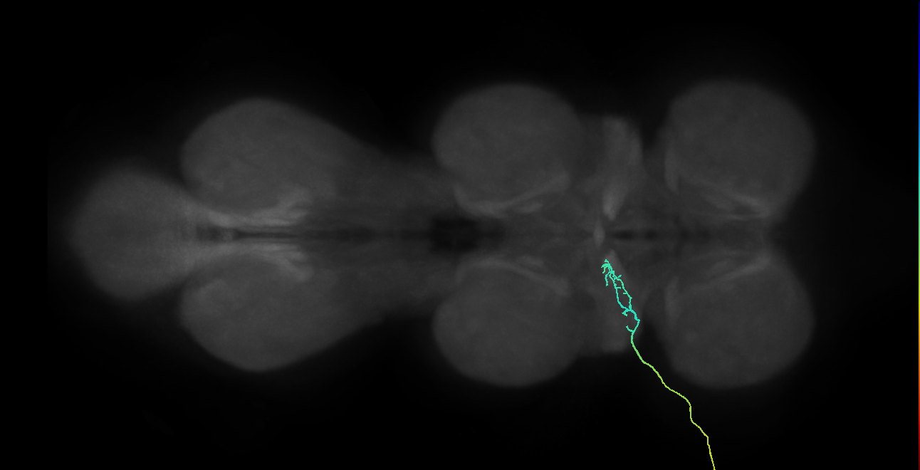 SNch03_ADMN_L (MANC:34296)