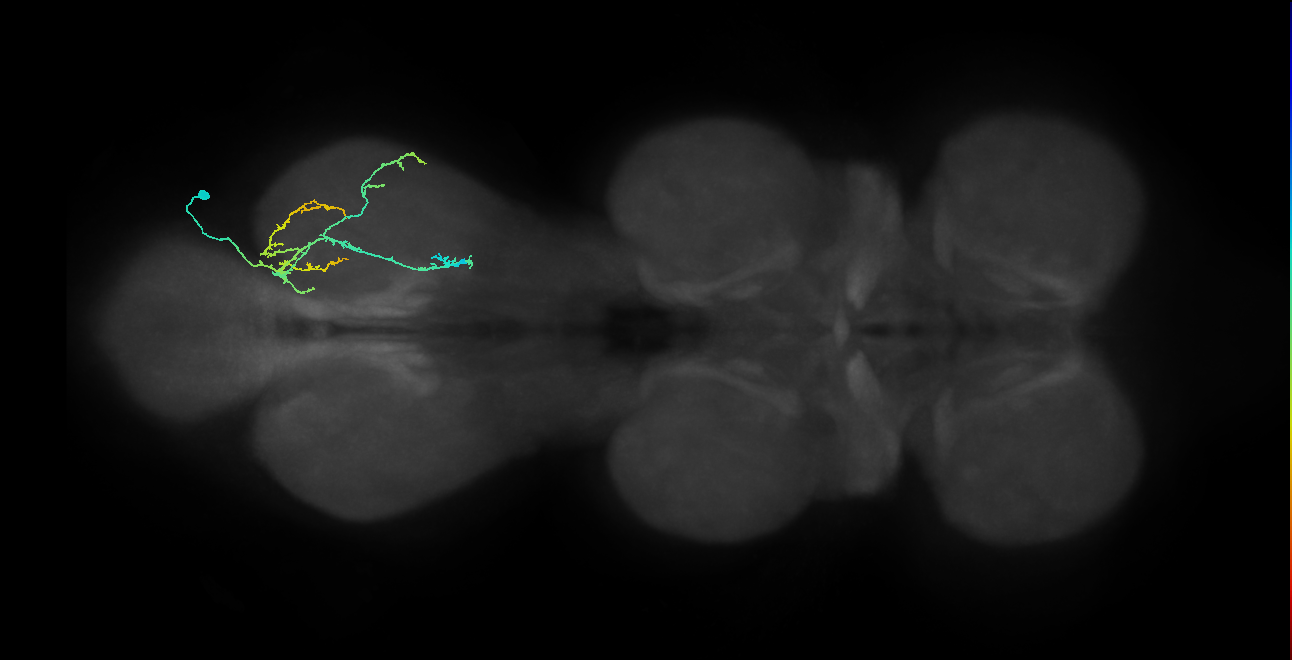 IN20A.22A003_T3_R (MANC:34347)