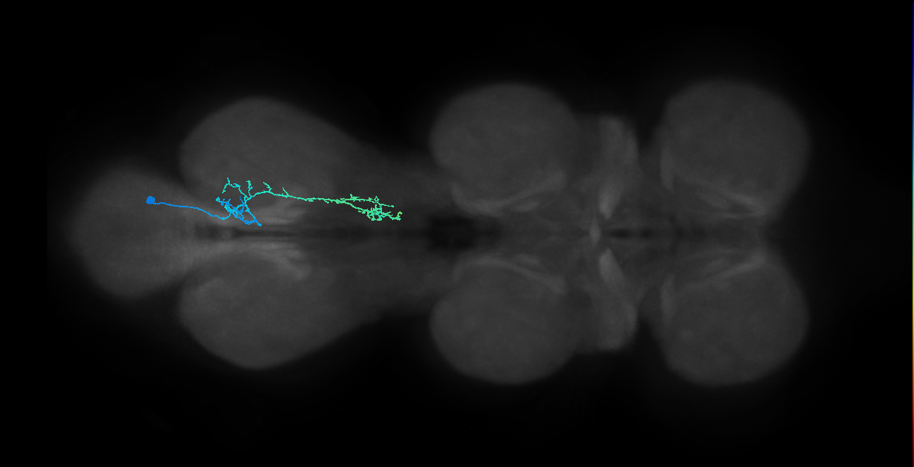 IN01B010_T3_R (MANC:34367)