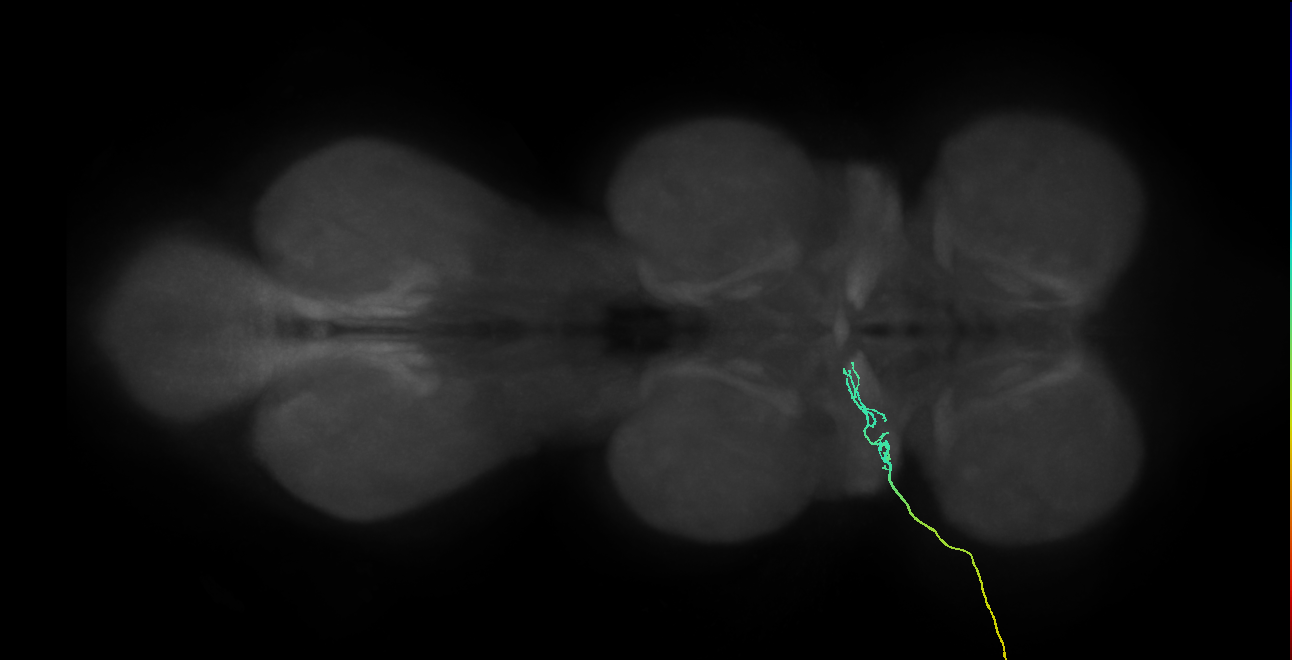 SNch03_ADMN_L (MANC:34527)