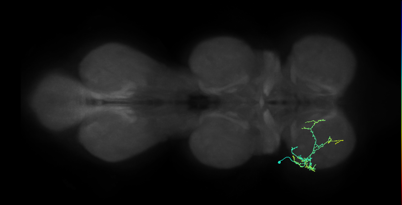 IN20A.22A009_T1_L (MANC:34738)