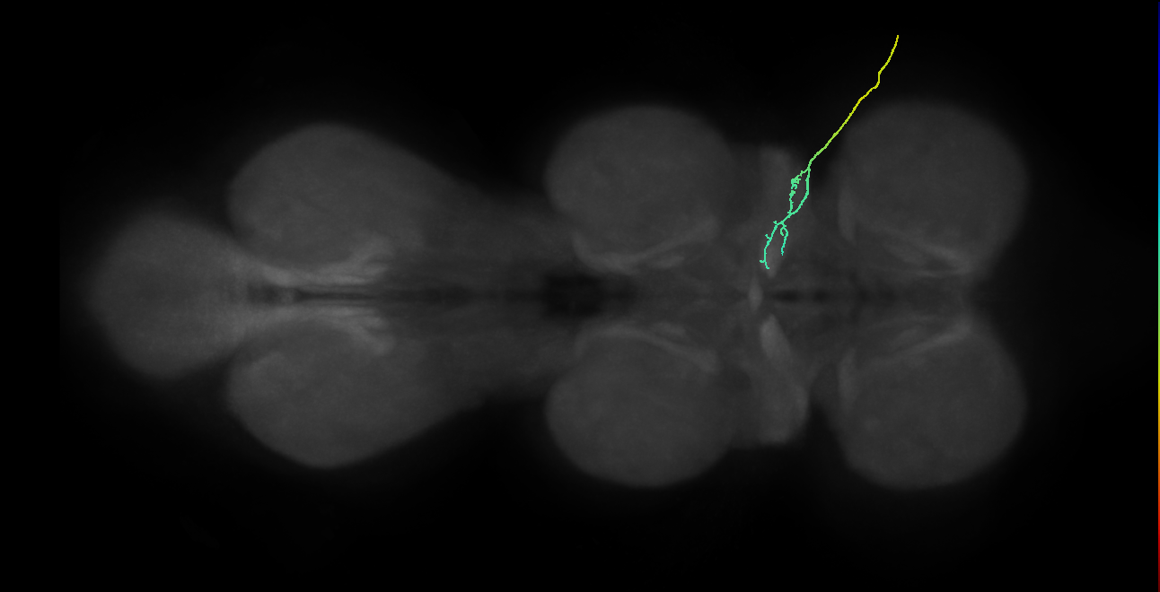 SNch03_ADMN_R (MANC:34745)