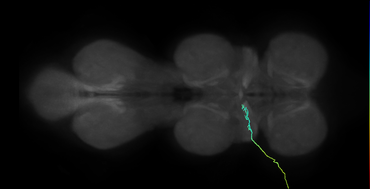 SNch01_ADMN_L (MANC:34886)