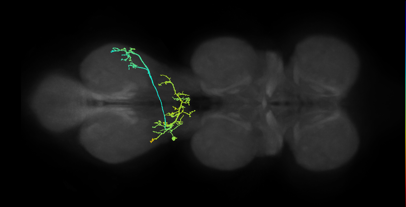IN01A068_T3_L (MANC:35712)