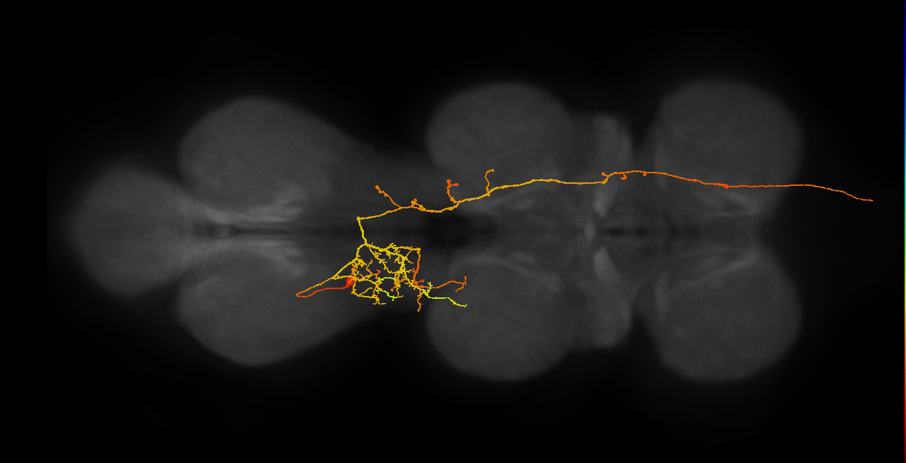 AN19B054_T3_L (MANC:35750)