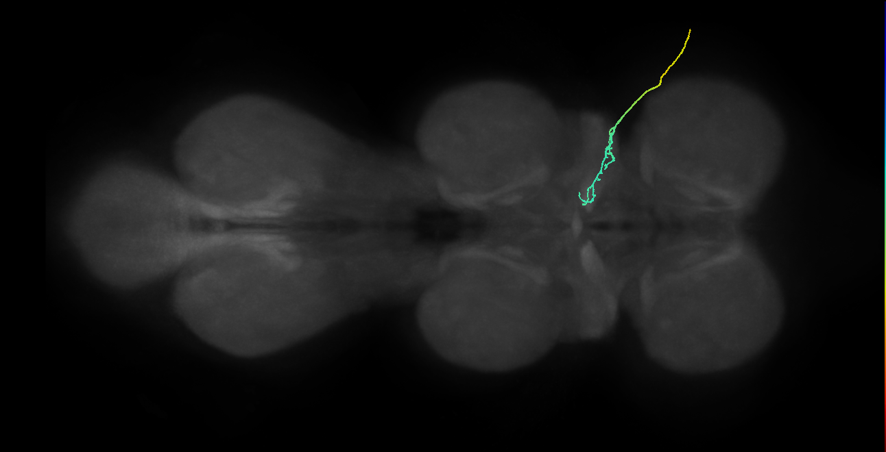 SNch03_ADMN_R (MANC:36426)