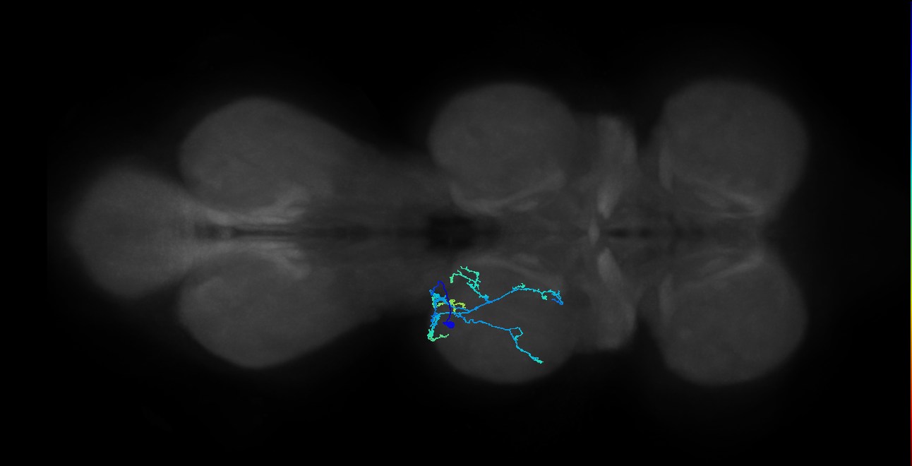 IN20A.22A009_T2_L (MANC:36597)