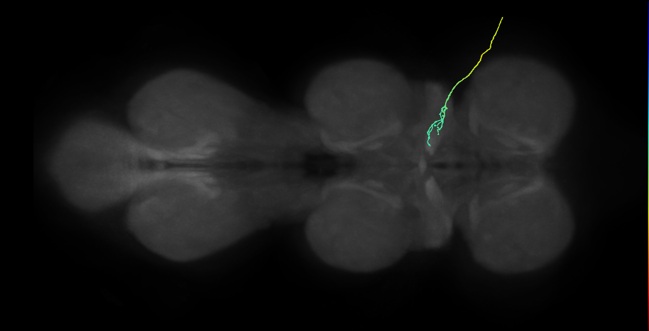 SNch03_ADMN_R (MANC:36622)