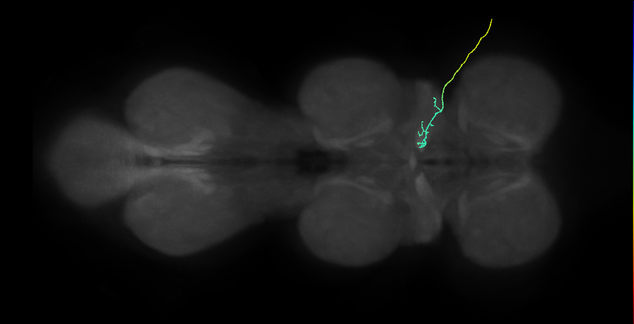 SNch03_ADMN_R (MANC:36795)