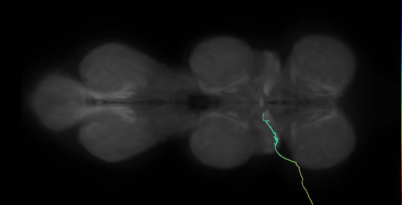 SNch03_ADMN_L (MANC:37038)