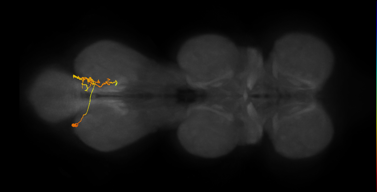 IN14A001_A3_L (MANC:37115)