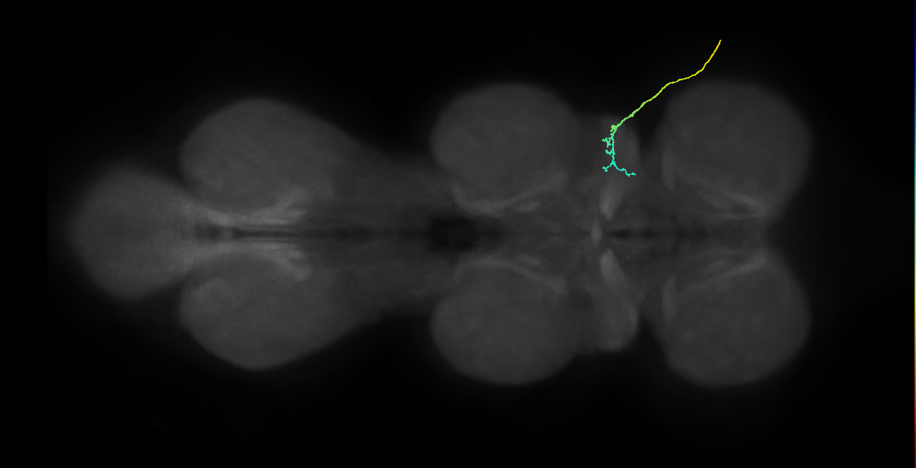 SNta05_ADMN_R (MANC:37297)