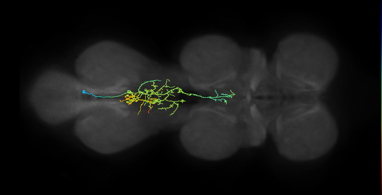 IN05B027_T3_R (MANC:38486)