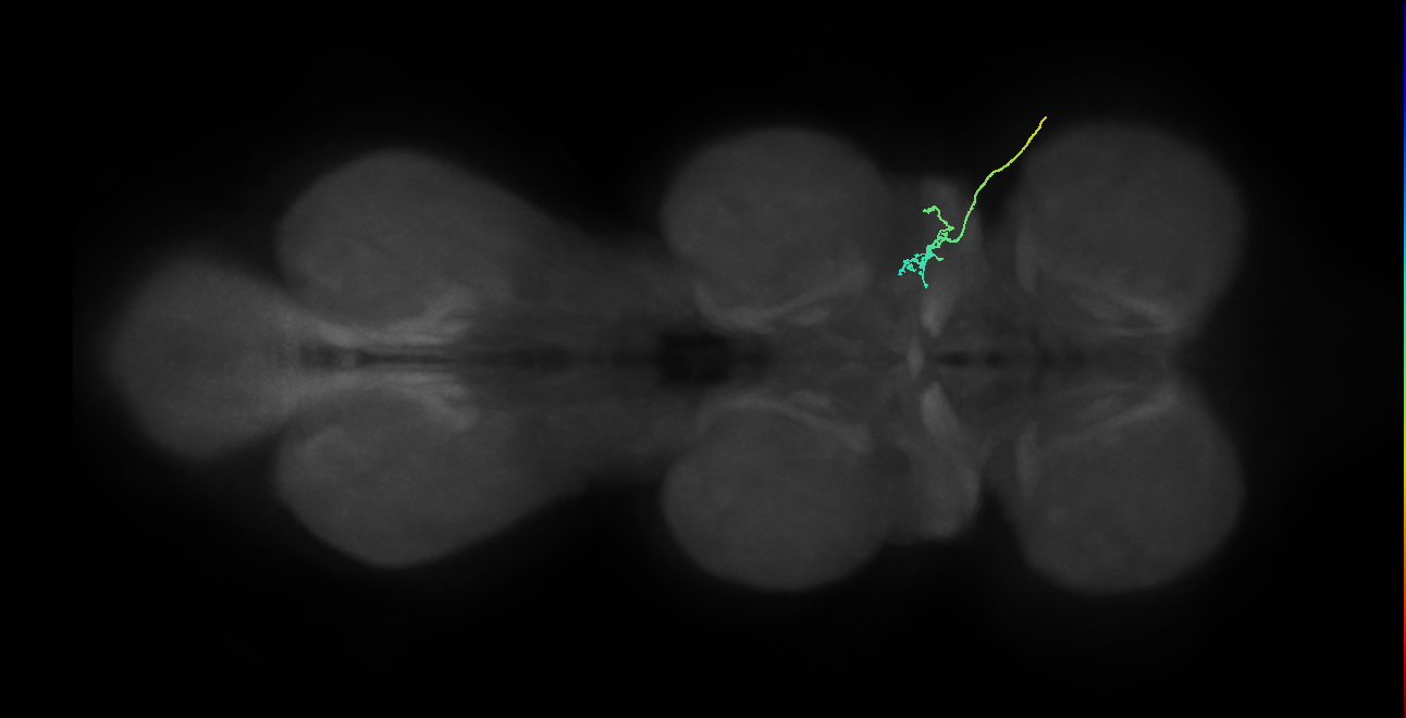 SNta03_ADMN_R (MANC:38716)