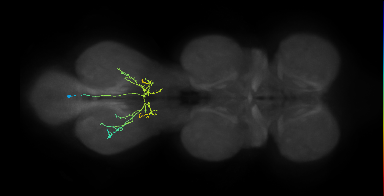 IN12B008_T3_R (MANC:39110)