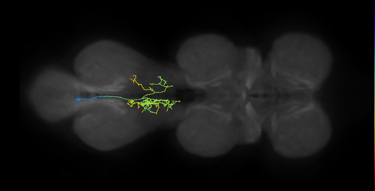 IN05B027_T3_L (MANC:40498)