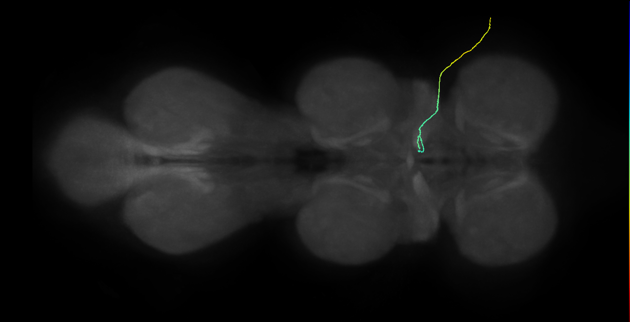 SNch02_ADMN_R (MANC:41225)